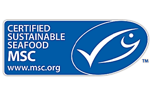 msc logo oceanic sea foods