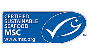 msc logo oceanic